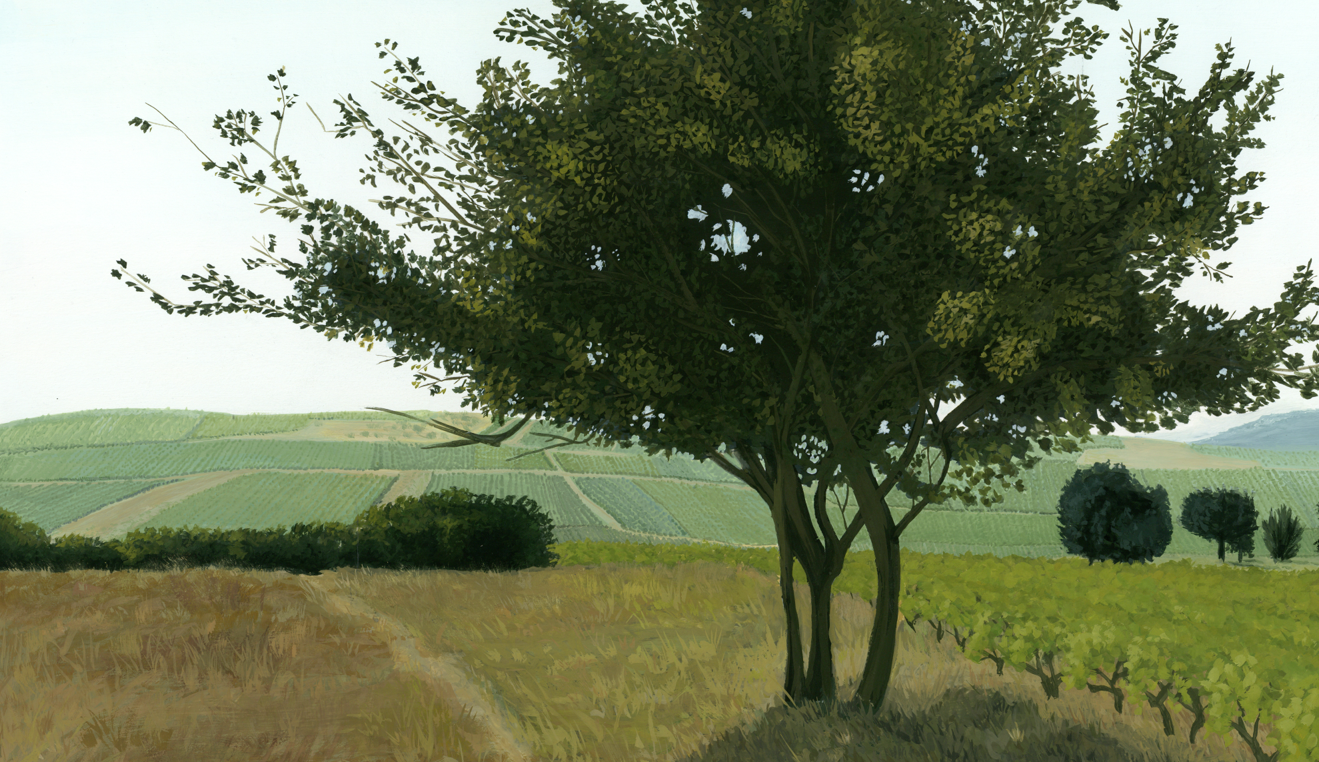 arbre_frontPage_light_RoxaneRey