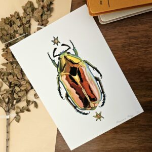 Print Scarabée multicolore