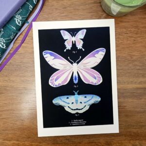 Print planche de papillons risographie version négatif