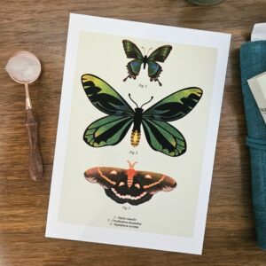 Print risographie version classique