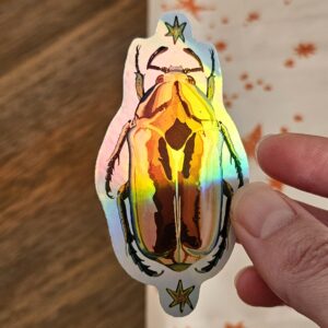 Sticker Scarabée multicolore