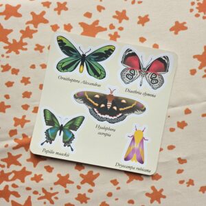 Planche de mini stickers papier Papillons
